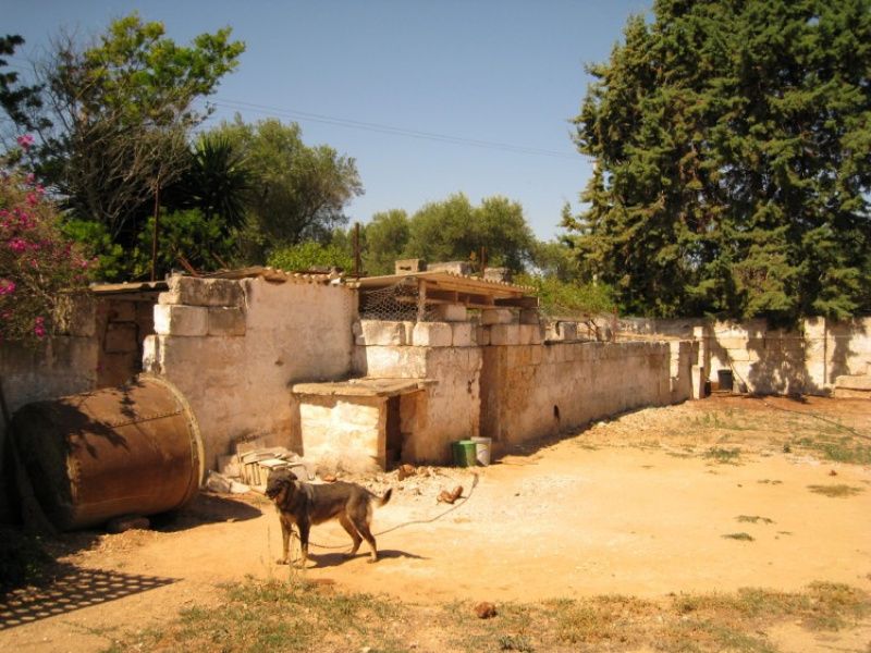 rustico casale vendita brindisi claro immobiliare (5)